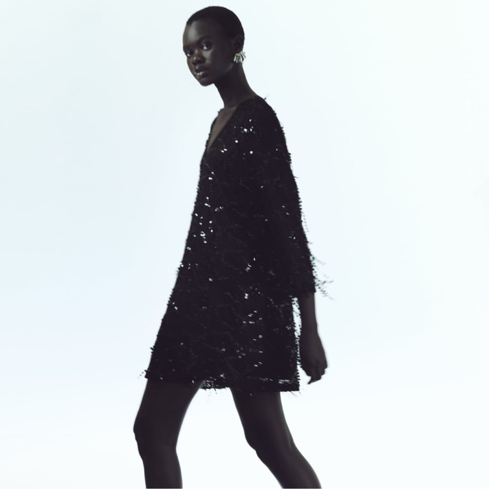 ZARA FRINGED SEQUIN MINI DRESS SIZE SMALL NWT - Picture 5 of 9